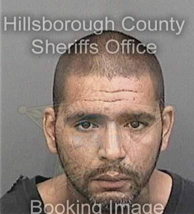 David Bijou - Hillsborough County, FL 