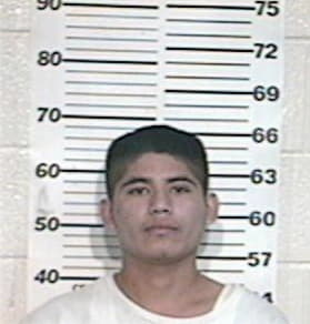 Adan Coronado, - Hidalgo County, TX 