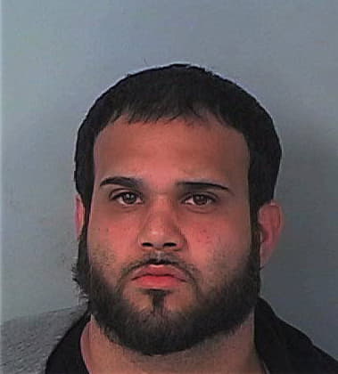 Anthony Degregorio, - Hernando County, FL 