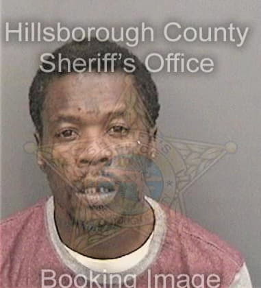 Curtis Fox - Hillsborough County, FL 