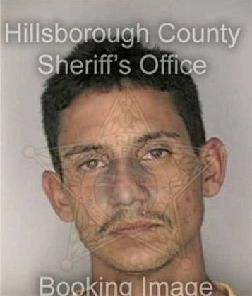 Mauricio Garcia, - Hillsborough County, FL 