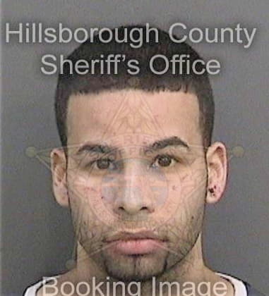 Dennis Hyde, - Hillsborough County, FL 