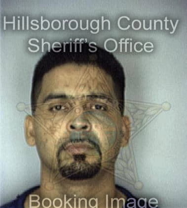 Russel Mills - Hillsborough County, FL 