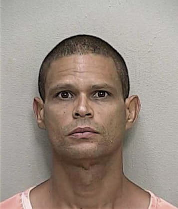 Yamil Negron, - Marion County, FL 