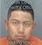 Luis Salitre-Hernandez, - Pinellas County, FL 