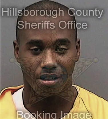 Jephte Sylvestre, - Hillsborough County, FL 