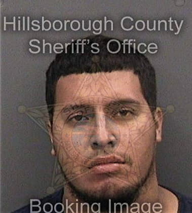 Jesus Garcia-Martinez, - Hillsborough County, FL 