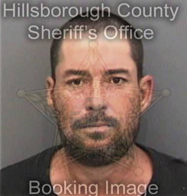 Ian McNeish - Hillsborough County, FL 