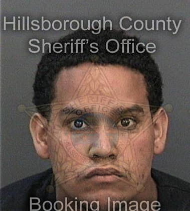 Christopher Ringley, - Hillsborough County, FL 