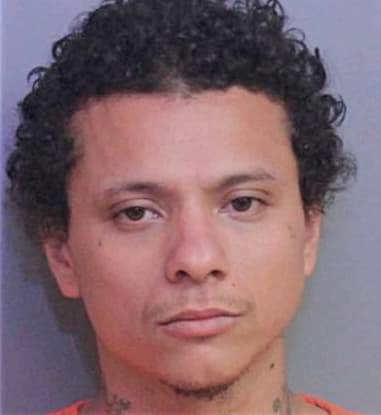 Domingo Rodrigues, - Polk County, FL 