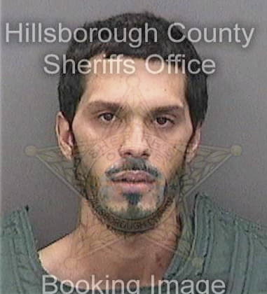 Alvaro Aviles, - Hillsborough County, FL 