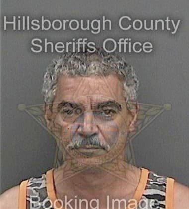 John Finklestein, - Hillsborough County, FL 