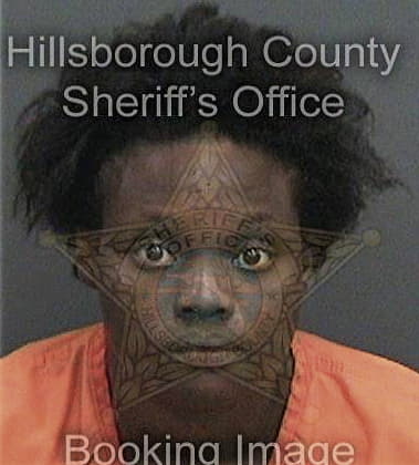 Tanya Henry - Hillsborough County, FL 