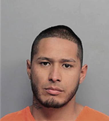 Christian Hernandezarguelles, - Dade County, FL 