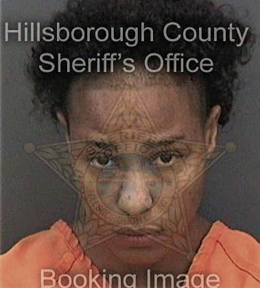 Adesola Idowu, - Hillsborough County, FL 