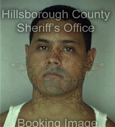 William Melendez - Hillsborough County, FL 
