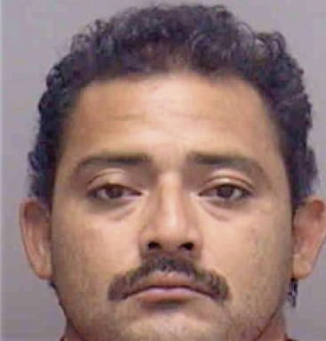 Ronal Murillo, - Lee County, FL 