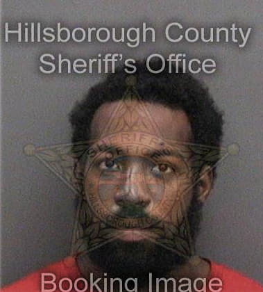 Dewayne Sims, - Hillsborough County, FL 