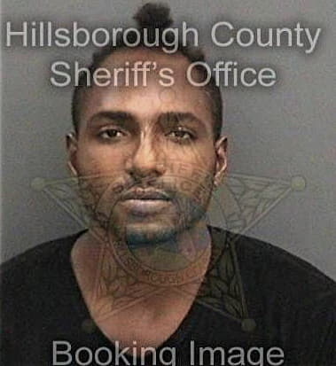 Demetrius Bradford - Hillsborough County, FL 