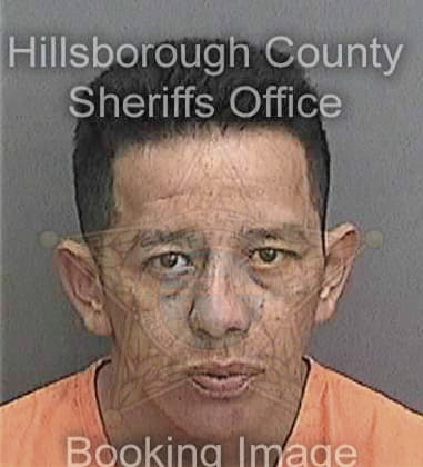 Jonathan Johnson, - Hillsborough County, FL 