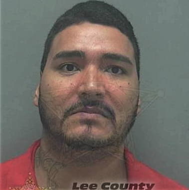 Ivan Palomino, - Lee County, FL 