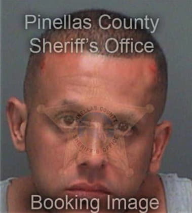 Anthony Salvo, - Pinellas County, FL 