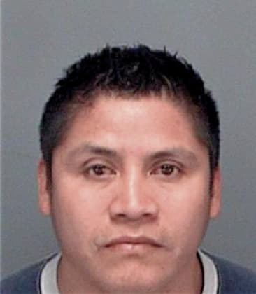 Luis Umana-Arguedas, - Pinellas County, FL 