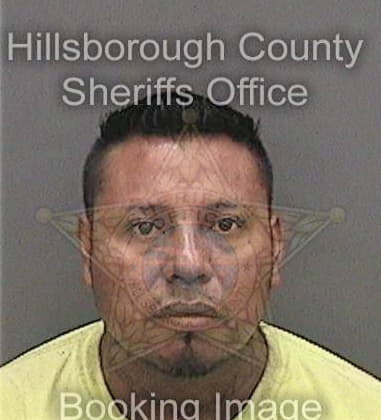 Dilon Villemonte, - Hillsborough County, FL 