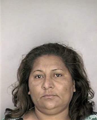 Lazara Figueroa, - Hillsborough County, FL 