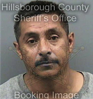 Lee Maxwell - Hillsborough County, FL 