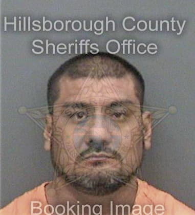 Julian Ontiverosrodriguez, - Hillsborough County, FL 