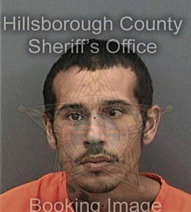 Randall Proctor, - Hillsborough County, FL 