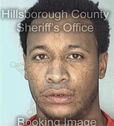 Antonio Rice, - Hillsborough County, FL 