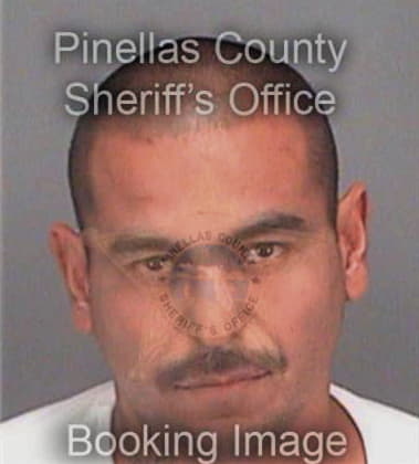 Elmar Unguiaavila, - Pinellas County, FL 