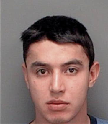 Oscar Carrera, - Pinellas County, FL 