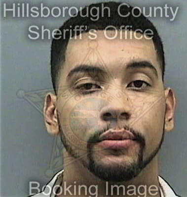 Reginald Jelks, - Hillsborough County, FL 