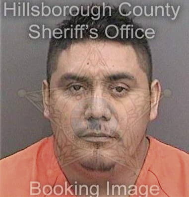 Jose Maldonadoalamo, - Hillsborough County, FL 