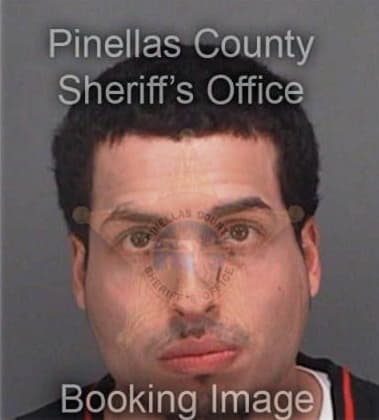 Timothy Schleede, - Pinellas County, FL 