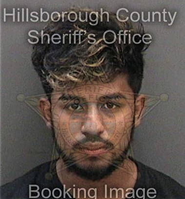 Dustin Ammons, - Hillsborough County, FL 