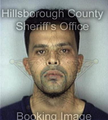 William Borys - Hillsborough County, FL 