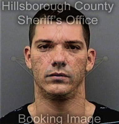 Guillermo Chaveznatareno - Hillsborough County, FL 