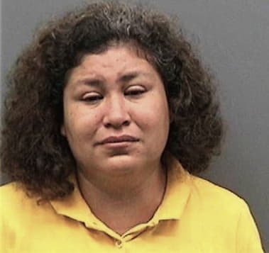 Heidi Feliciano, - Hillsborough County, FL 