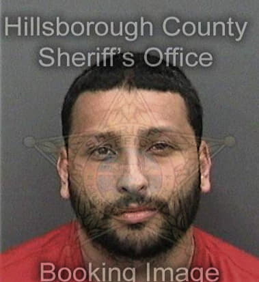 Santos Garciacalvario, - Hillsborough County, FL 