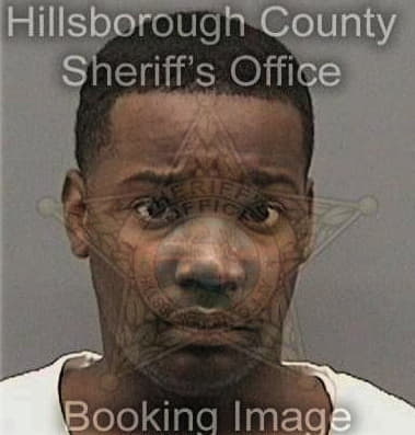 Remon Gibson, - Hillsborough County, FL 