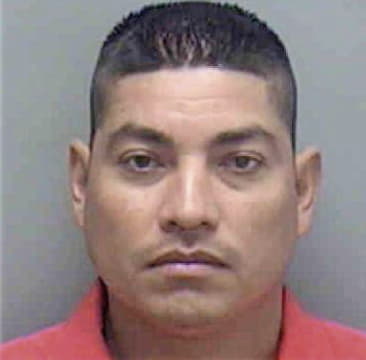 Diego Mateo, - Lee County, FL 