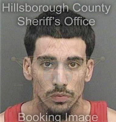 Francisco Santiagomontalvo, - Hillsborough County, FL 