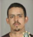 Williamson Bearstail - Multnomah County, OR 