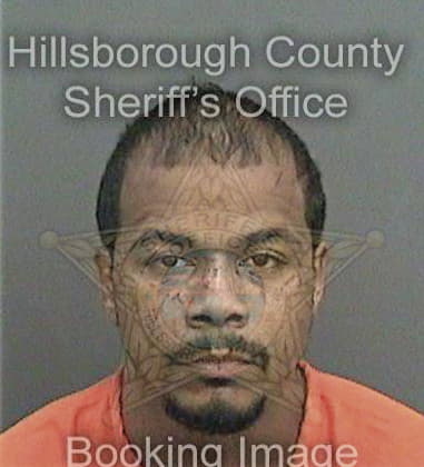 Ronnie Jenkins, - Hillsborough County, FL 