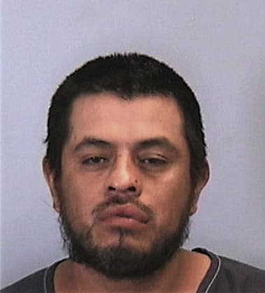 Gerardo Martinez-Vega, - Manatee County, FL 