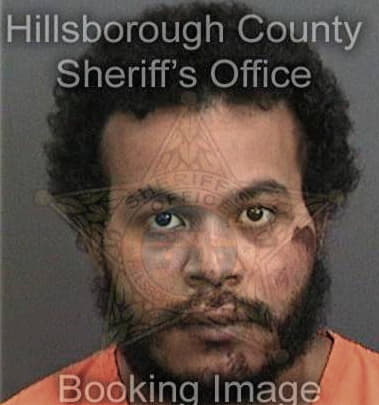 Ryan McNeil - Hillsborough County, FL 